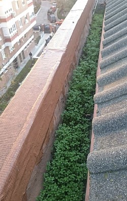 limpiezacanalonesvilagarciadearousa